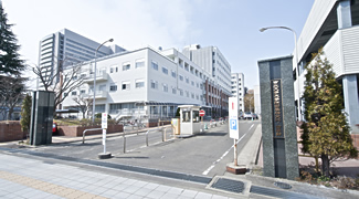 東北大学大学院歯学研究科・歯学部